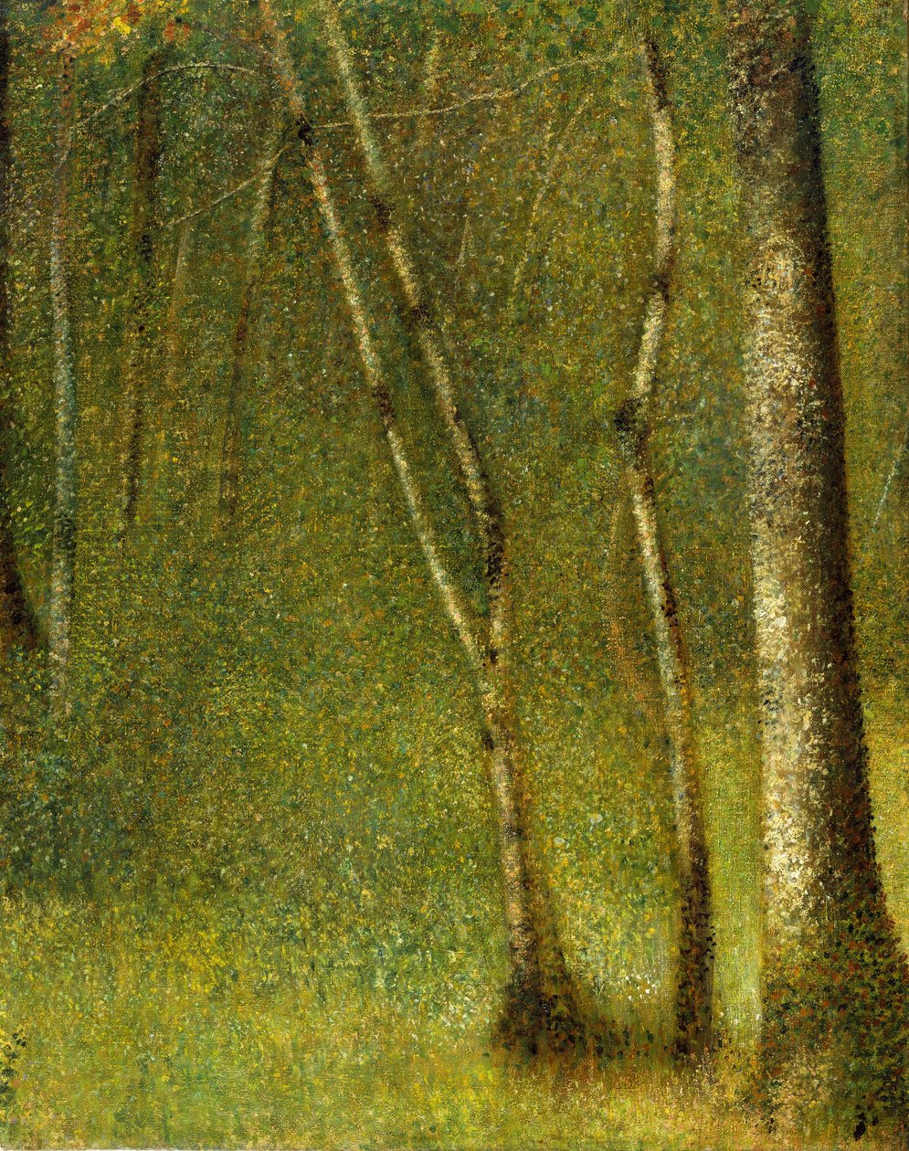 Der Wald bei Pontaubert, 1881 von Georges Pierre Seurat