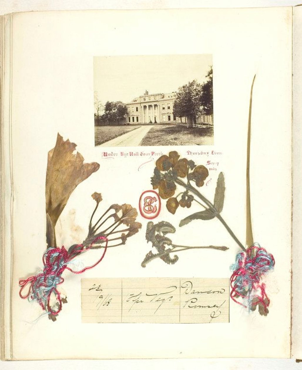 Ohne Titel [Ansicht von Broadlands mit getrockneten Blumen] von Georgina Cowper
