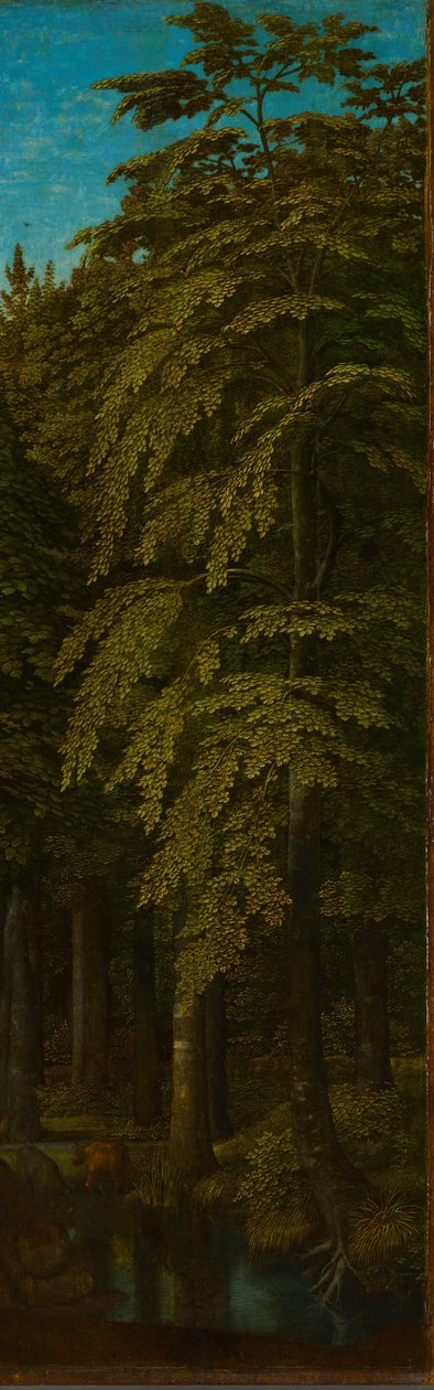 Äußere rechte Flügel eines Triptychons mit Blick in einen Wald von Gerard David
