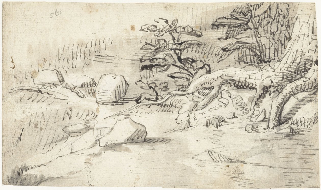 Studie der Wurzeln eines Baumes an einem Bach von Gerard ter Borch (I)