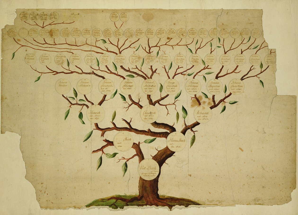 Stammbaum der Familie Bach, ca. 1750-1770 von German School