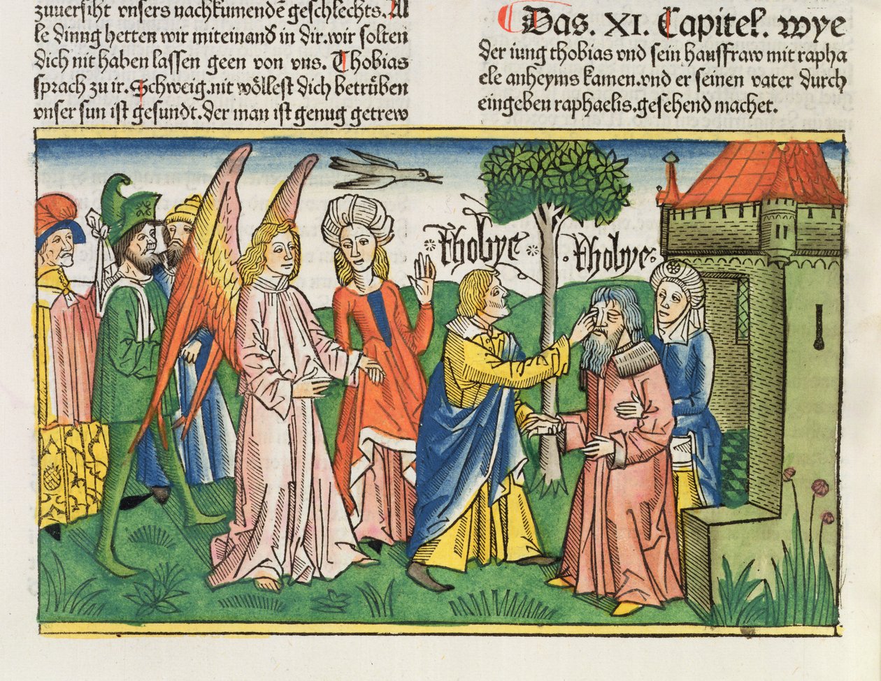 Apokryphen: Tobias stellt das Augenlicht seines Vaters Tobit mit der Galle eines Fisches wieder her, aus der Nürnberger Bibel (Biblia Sacra Germanaica) von German School