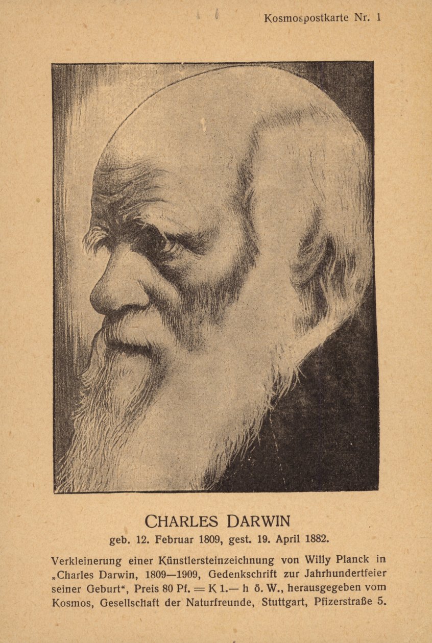 Charles Darwin, englischer Naturforscher von German School