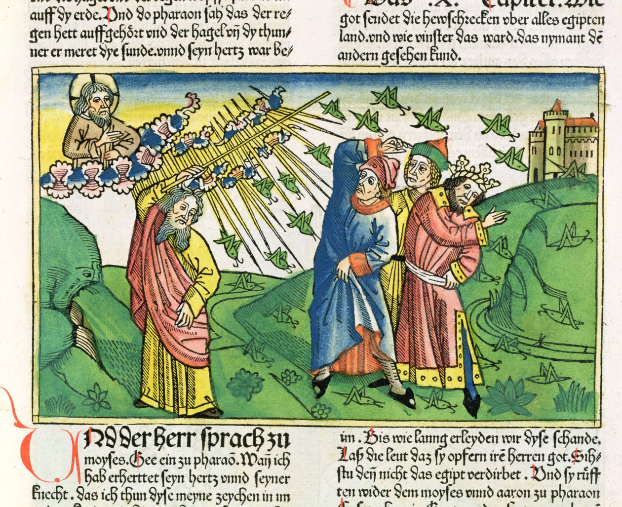 Exodus 10:1-20 Die sieben Plagen Ägyptens: die Plage der Heuschrecken, aus der Nürnberger Bibel (Biblia Sacra Germanaica) von German School