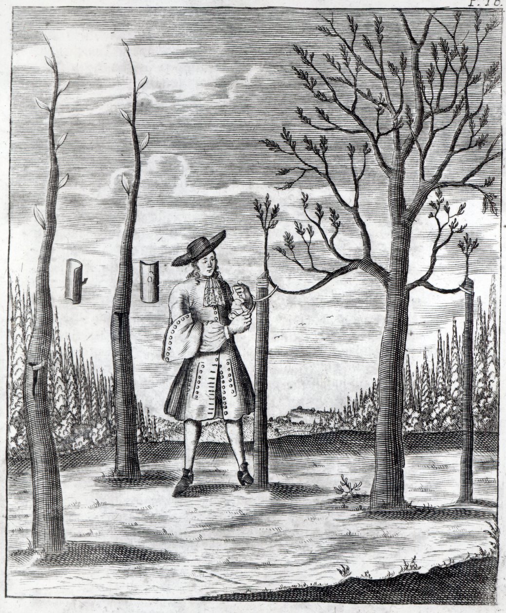 Gartenarbeit und Pflanzenkrankheiten, eine Illustration aus 