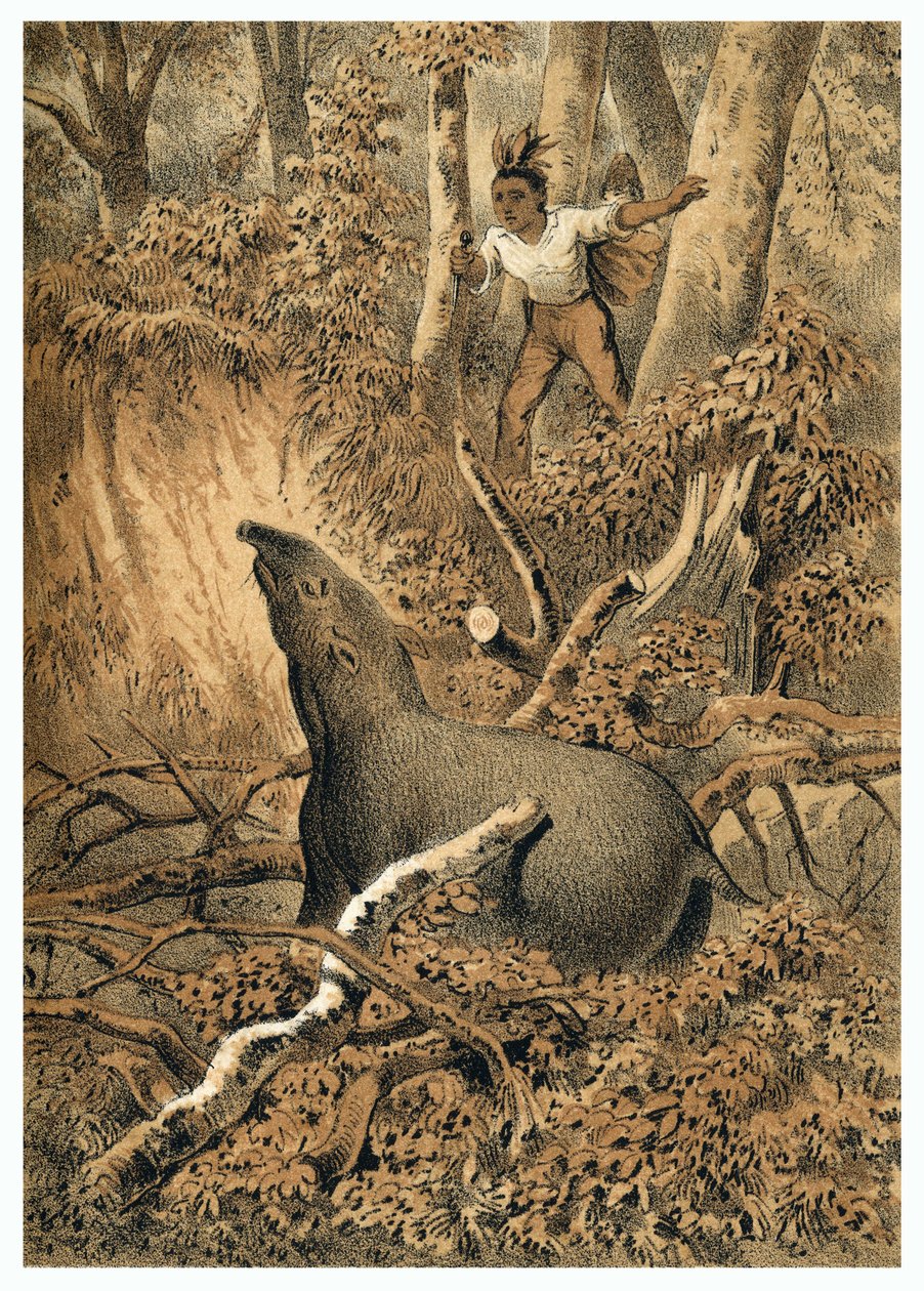 Illustration, Indianer jagen Tapir im Amazonaswald. In "De Bootslieden der Amazon-River", Karl Muller, Niederlande von German School