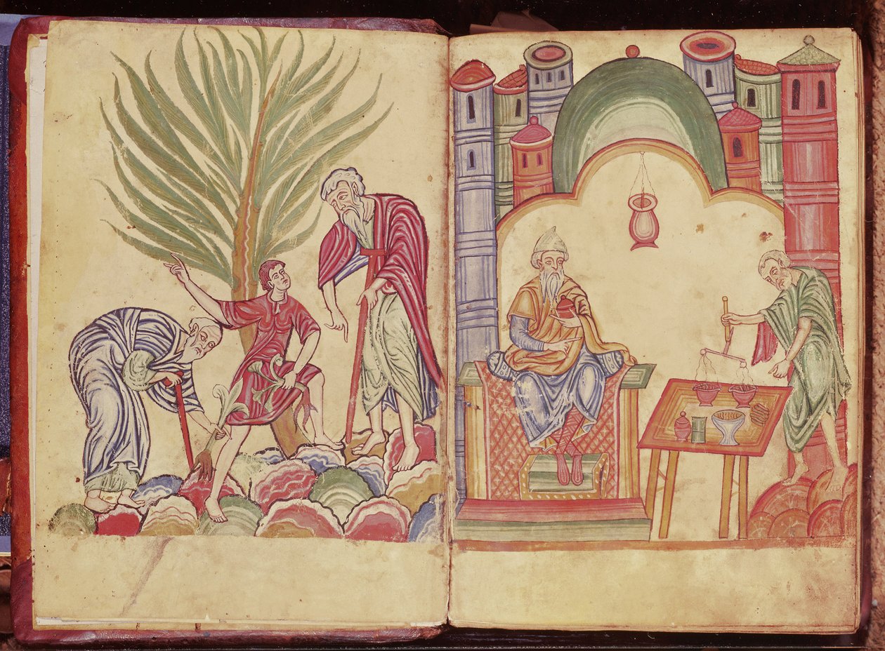 Die Kunst des Apothekers, aus Apuleius Dioscorides von German School