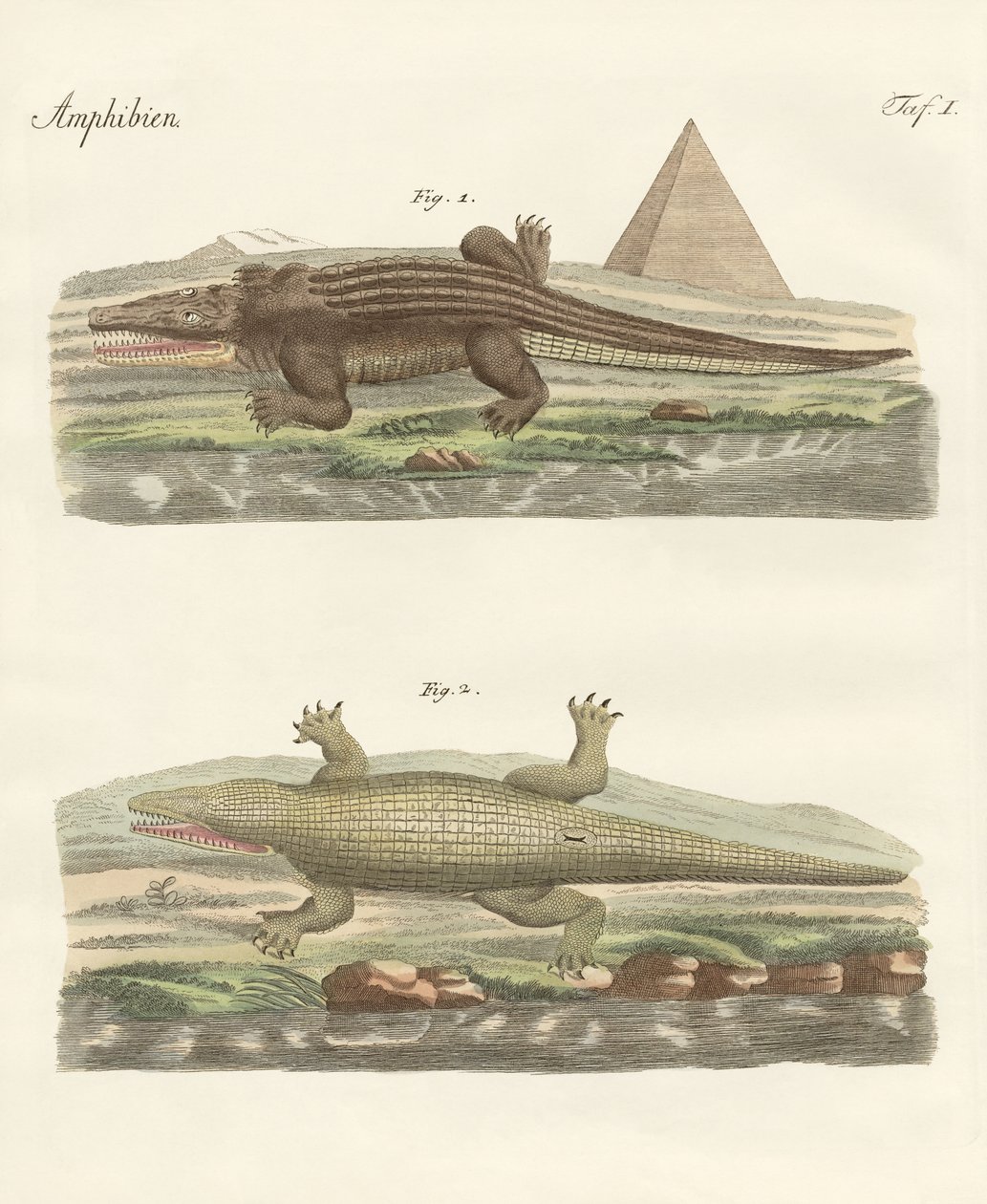 Das Krokodil von German School