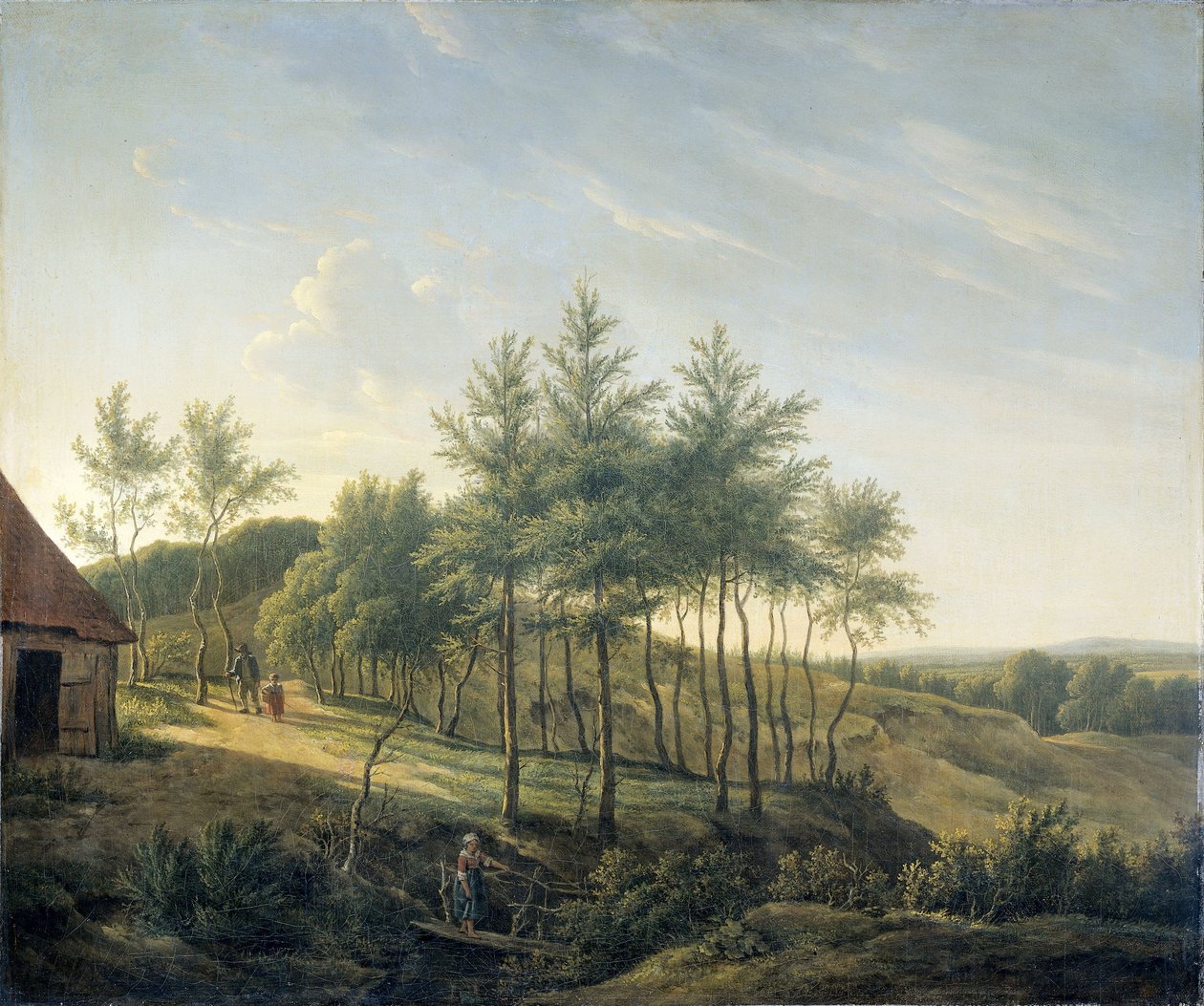 Hügelige Landschaft von Gerrit Jan Michaelis