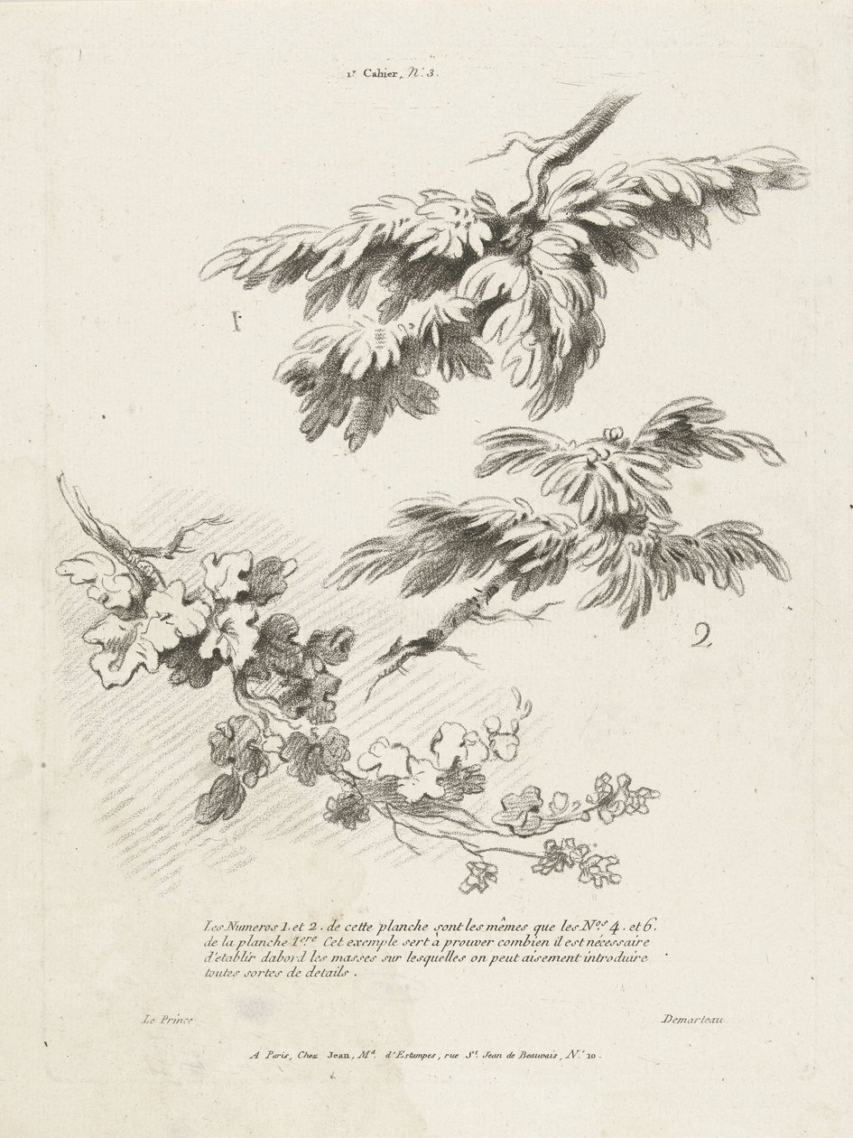 Studie von drei Zweigen mit Blättern von Gilles Demarteau