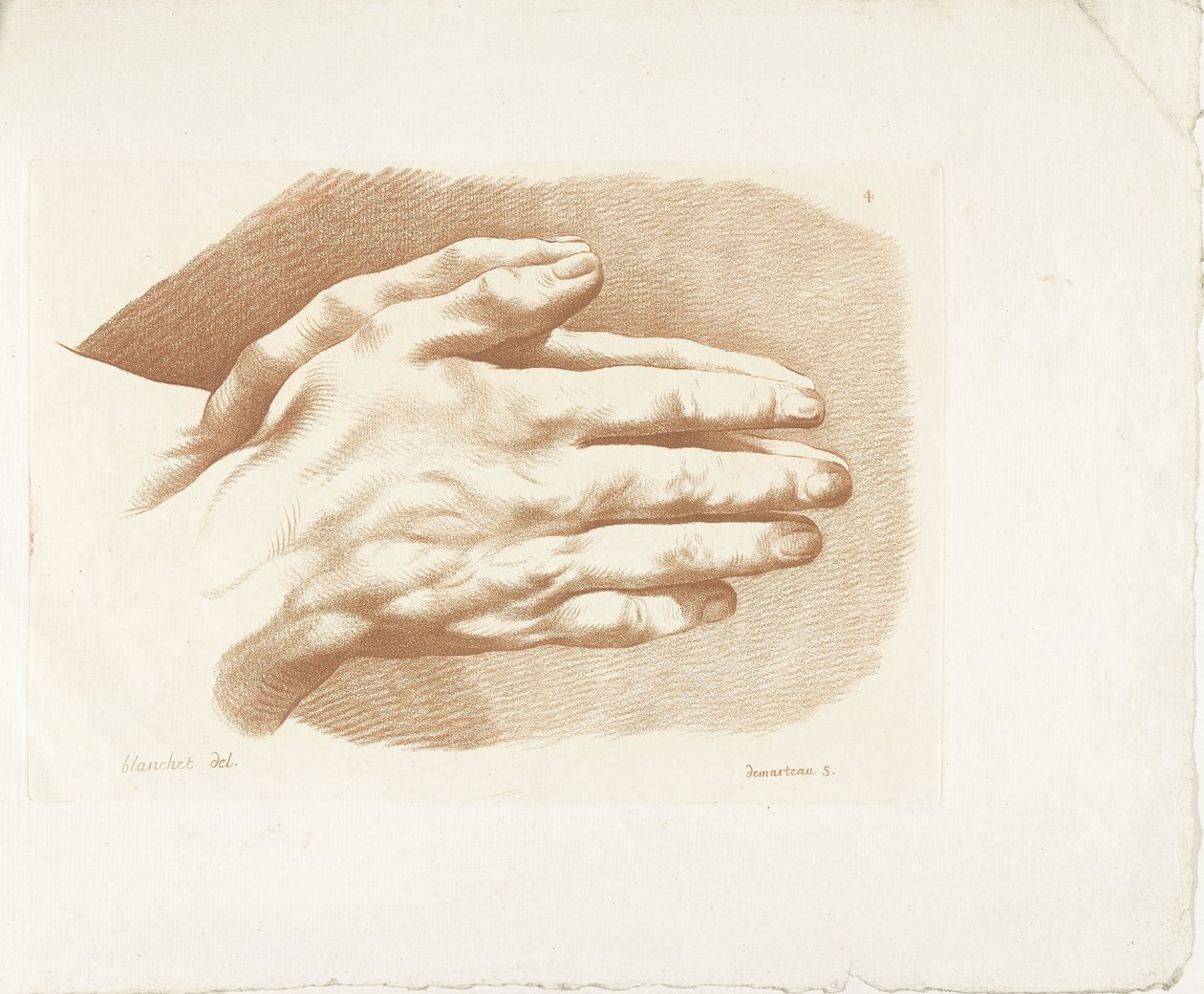 Studie von zwei Händen von Gilles Demarteau