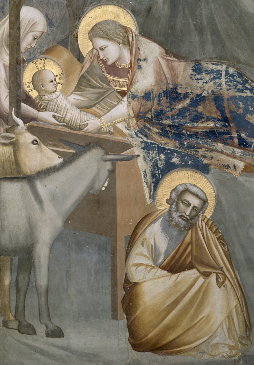 Die Geburt Christi, Detail der Jungfrau und des Kindes, des Esels und Josephs, 1303-05 (nach der Restaurierung) von Giotto di Bondone