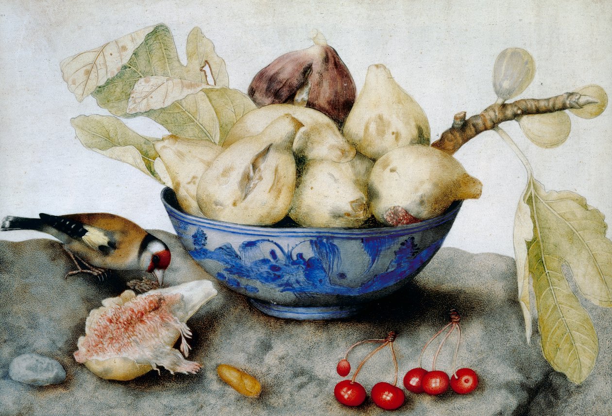 Chinesische Tasse mit Feigen, Kirschen und einem Stieglitz von Giovanna Garzoni