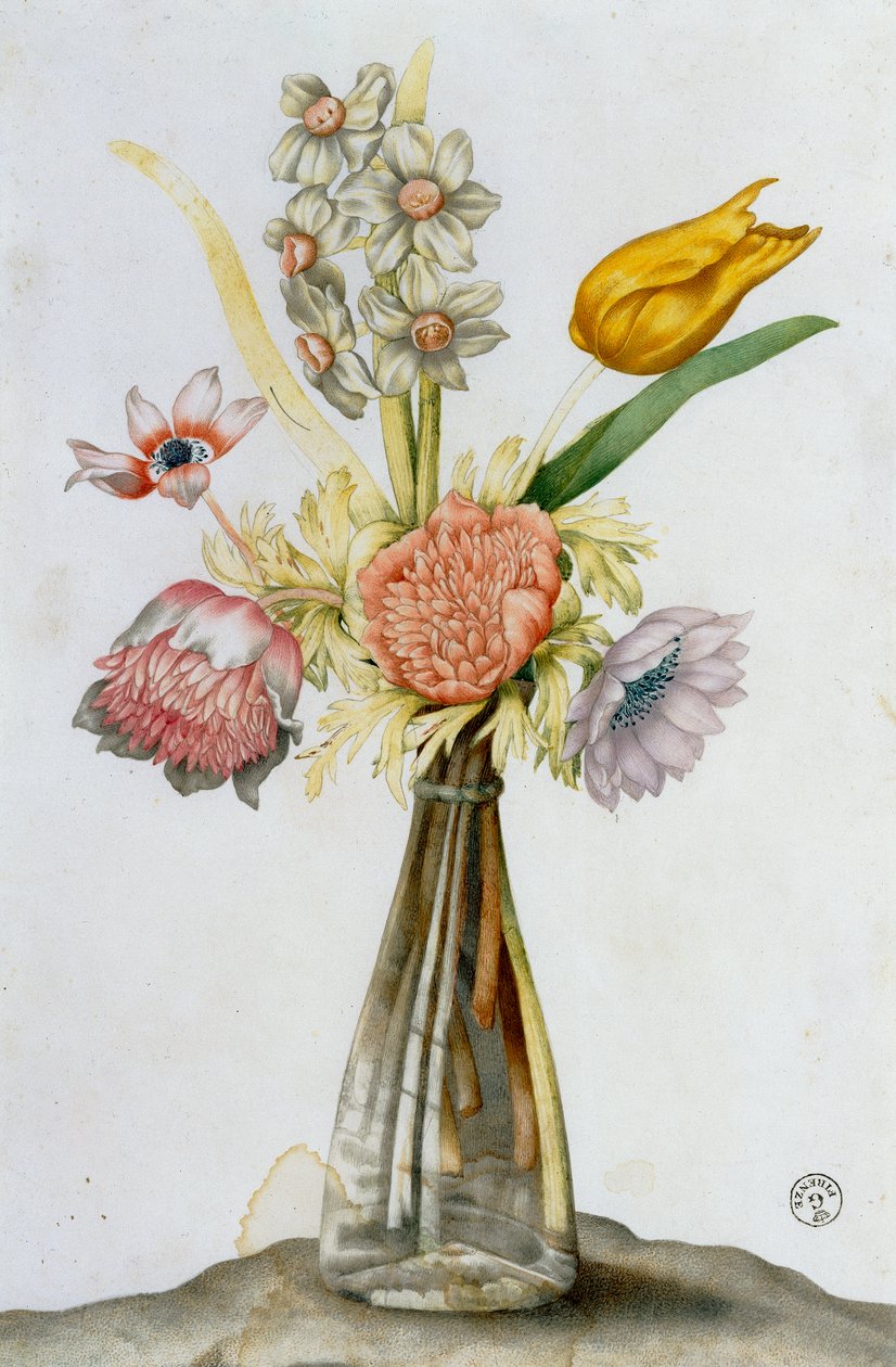 Glasvase mit Anemonen, einer Narzisse und einer Tulpe von Giovanna Garzoni