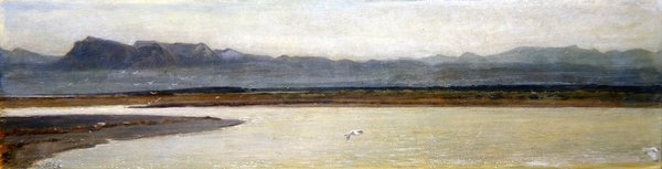 Mündung des Arno von Giovanni Costa