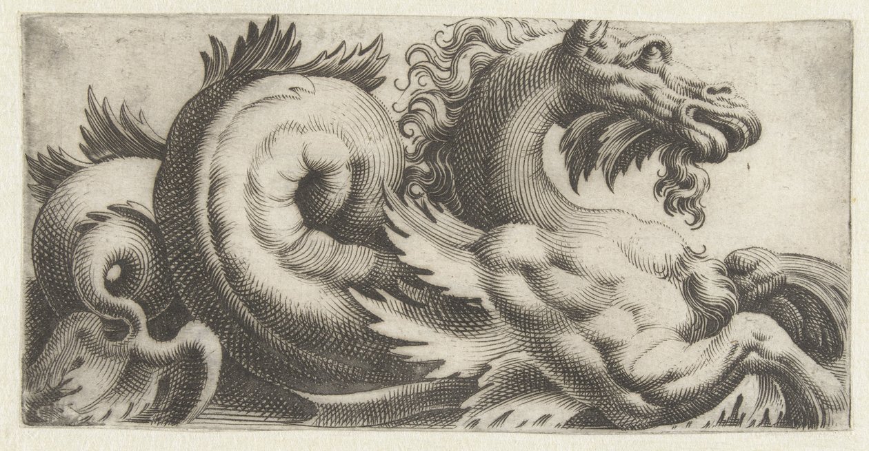 Seepferdchen mit blattförmigen Flossen und einem Bart (Friesen mit Seemonstern) von Giovanni Andrea Maglioli