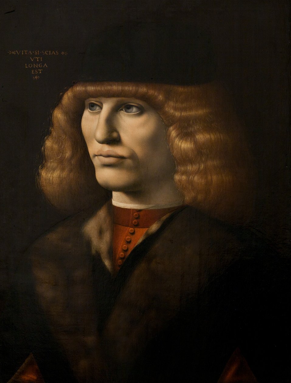 Porträt eines jungen Mannes, um 1500 von Giovanni Antonio Boltraffio