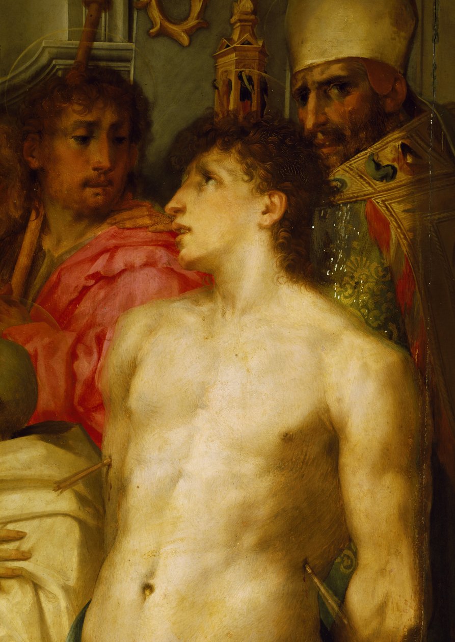 Madonna mit dem Kind und Heiligen (Detail) von Giovanni Battista Rosso Fiorentino