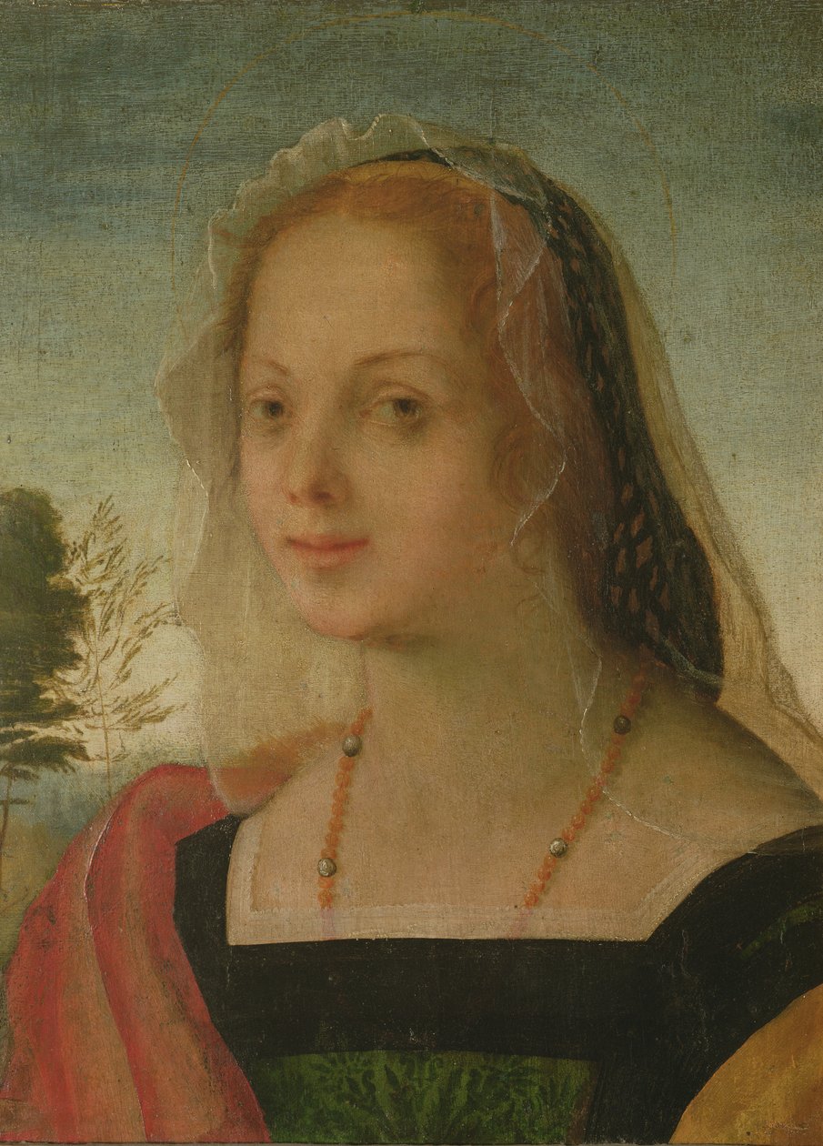 Porträt eines jungen Mädchens von Giovanni Battista Rosso Fiorentino