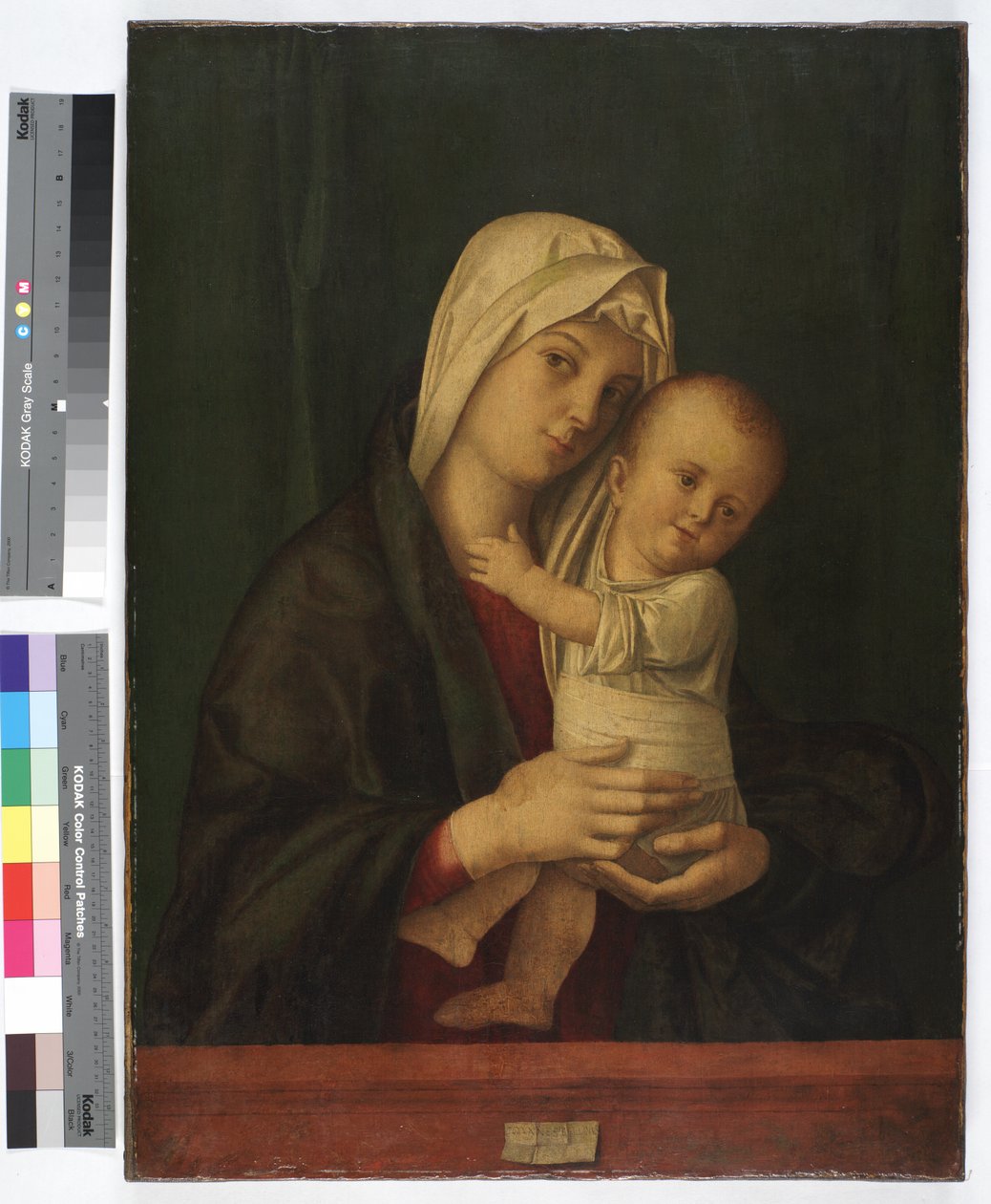 Madonna und Kind, ca. 1489 von Giovanni Bellini