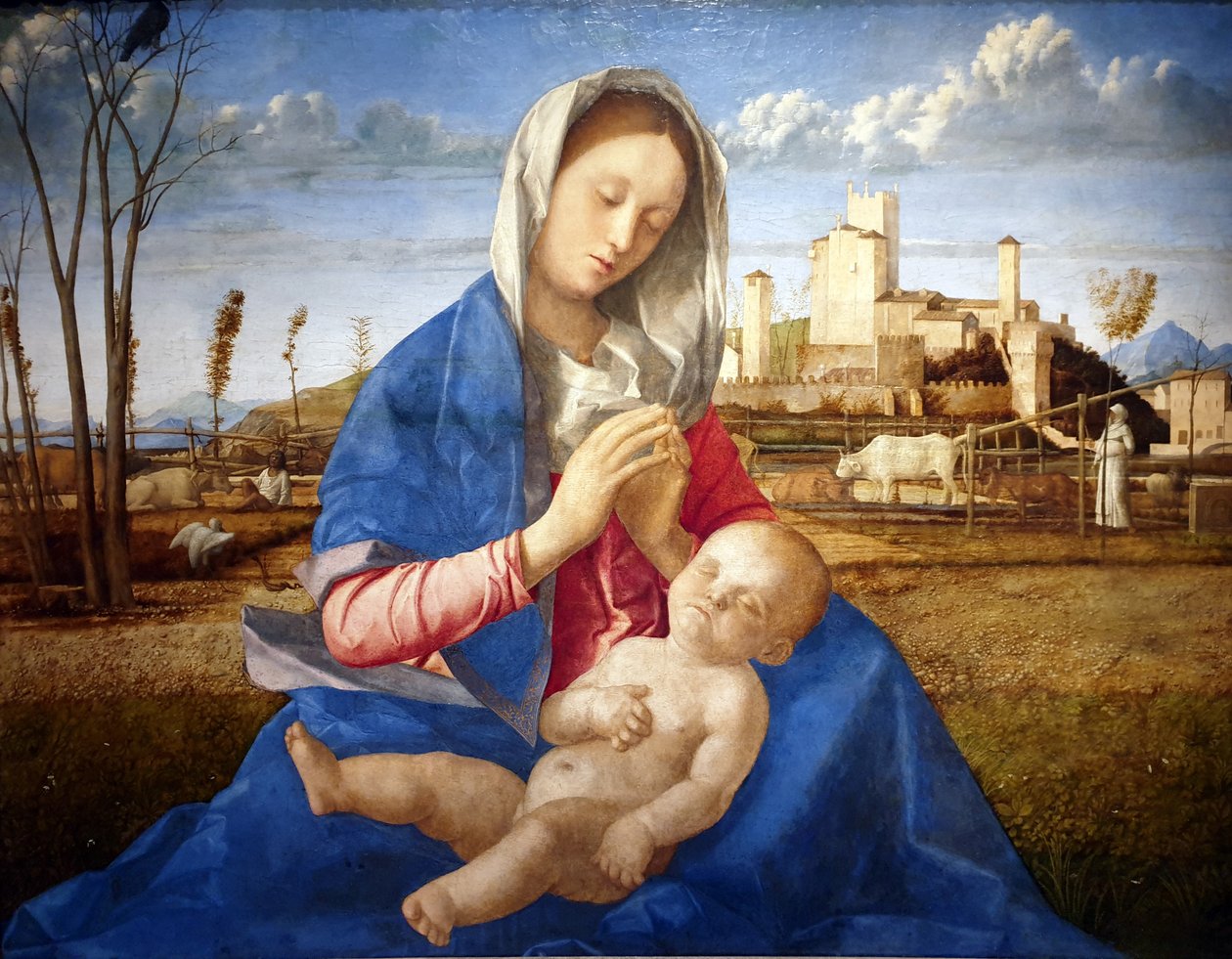 Madonna der Wiese von Giovanni Bellini