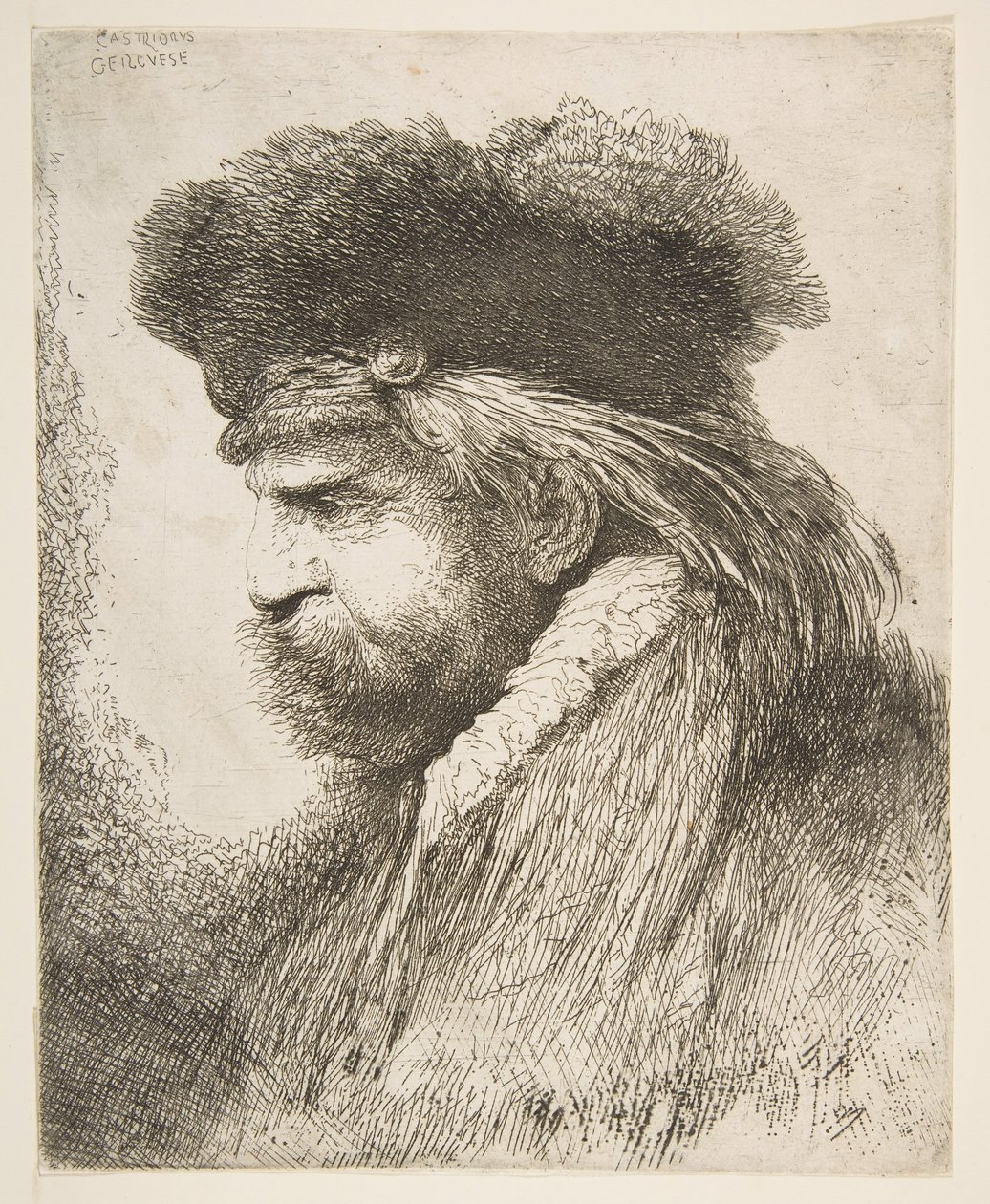 Kopf eines alten Mannes nach links, aus der Serie der großen orientalischen Köpfe, ca. 1645-50 von Giovanni Benedetto Castiglione