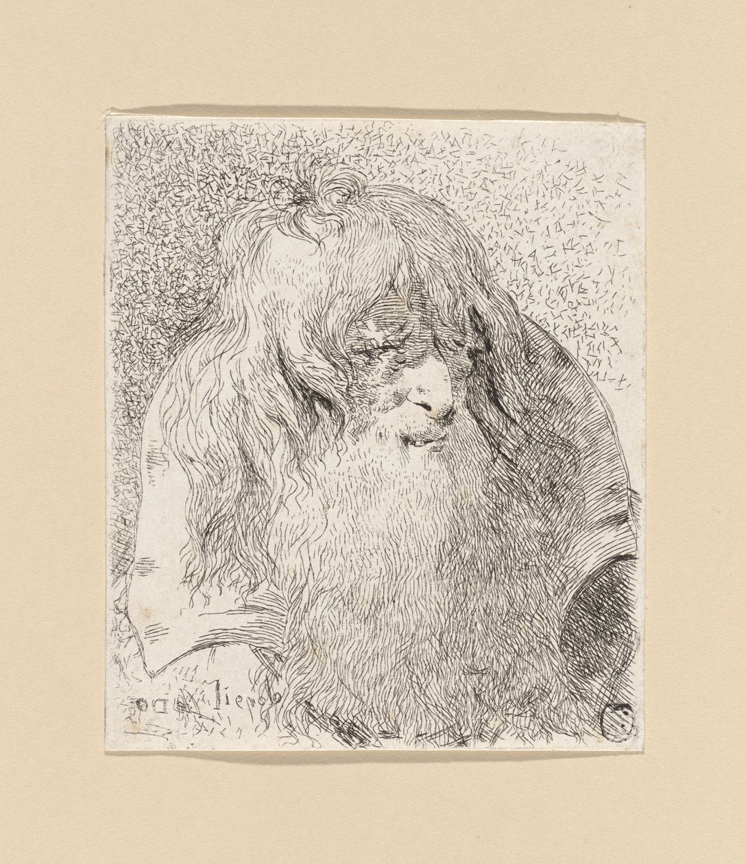 Alter Mann mit Bart und langem Haar, aus der Sammlung von Köpfen von Giovanni Domenico Tiepolo