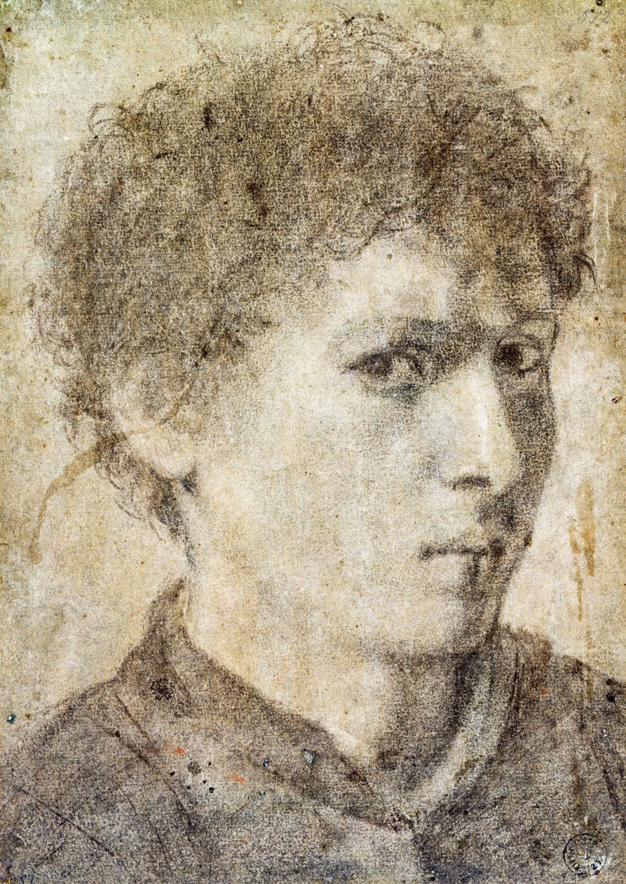 Kopf eines jungen Jungen, Zeichnung von Gian Girolamo Savoldo, schwarzer Bleistift und weiße Kreide, Italien von Giovanni Girolamo Savoldo