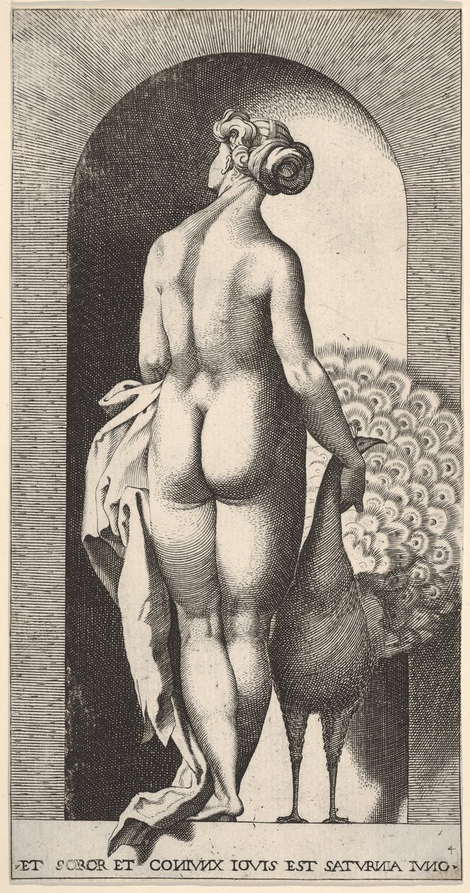Tafel 4: Juno steht in einer Nische, von hinten betrachtet, streichelt einen Pfau zu ihrer Rechten, fr..., 1526 von Giovanni Jacopo Caraglio