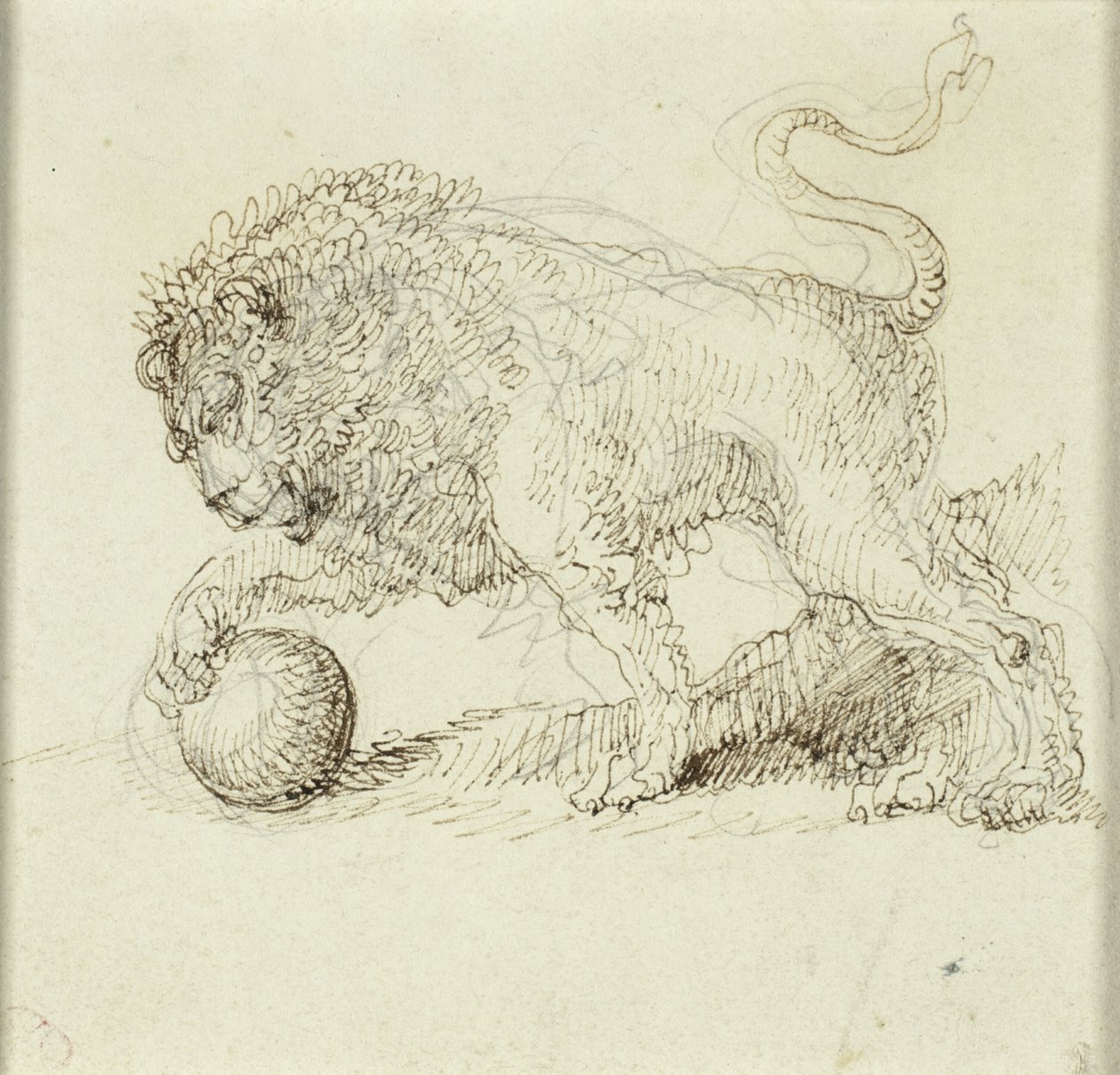 Löwe mit Ball von Giuseppe Bernardino Bison