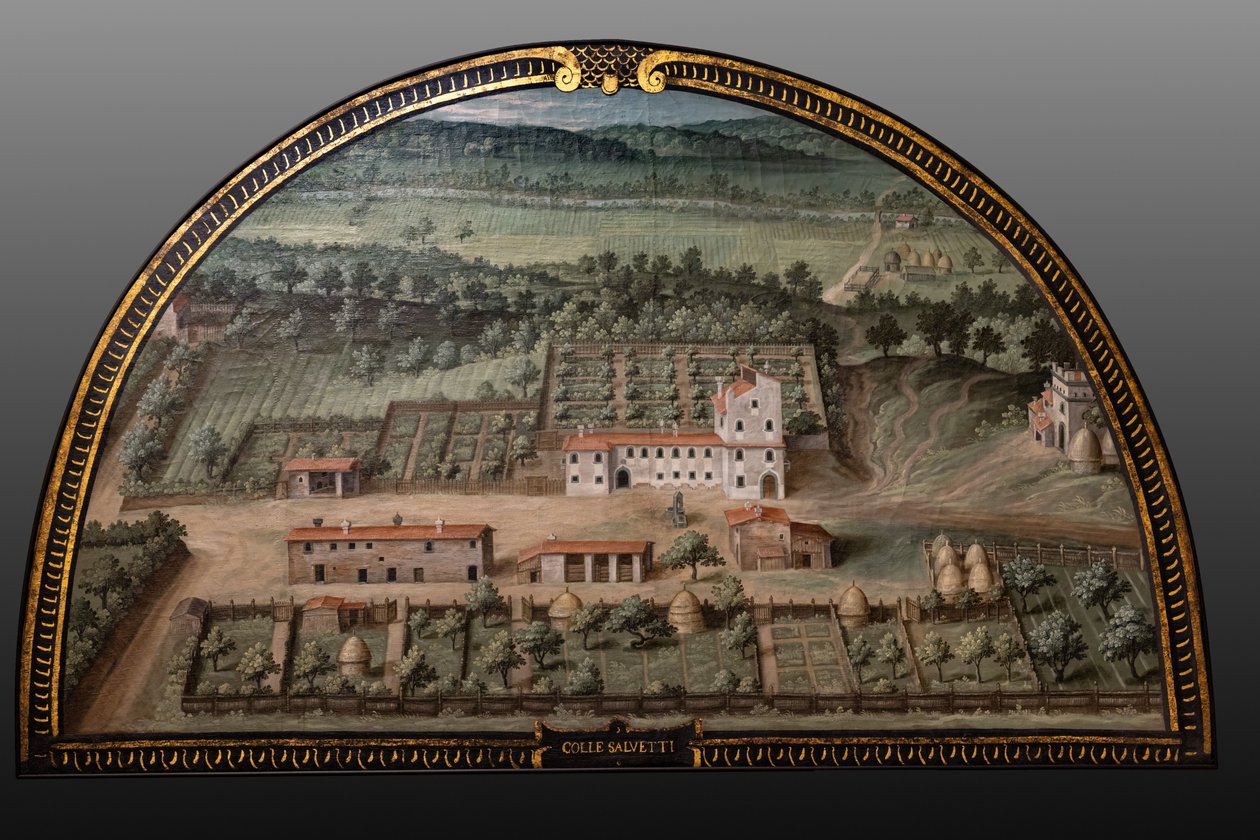Die Medici-Villa von Collesalvetti von Giusto Utens