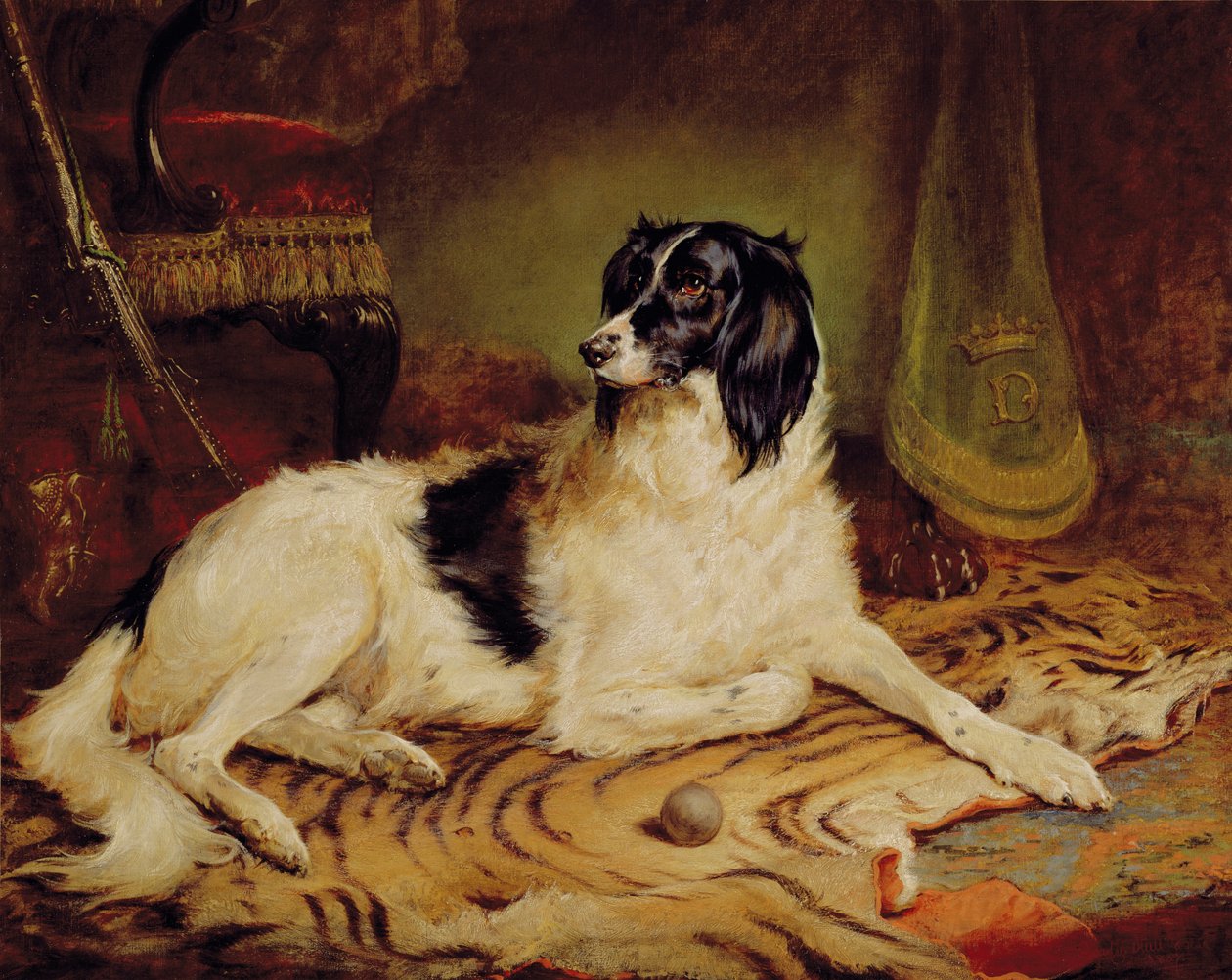 Minna, ein Lieblingshund von James, Marquess of Dalhousie von Gourlay Steel