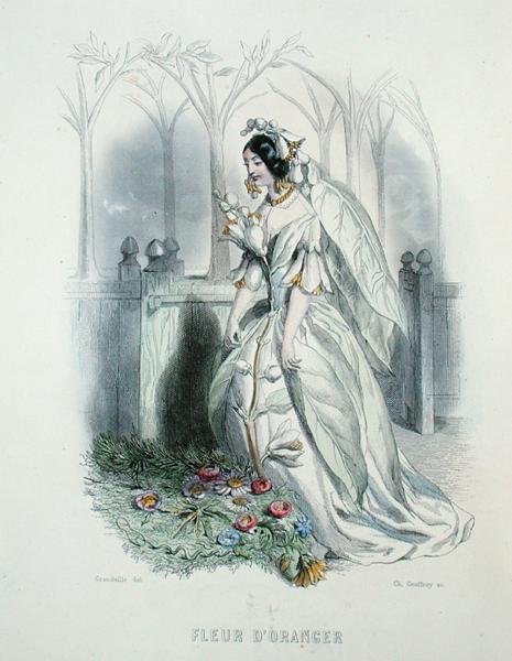 Die Orangenblüte, aus 