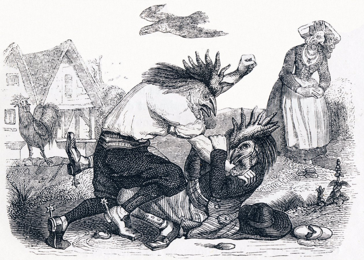 Die beiden Hähne - Fabeln von La Fontaine von Grandville