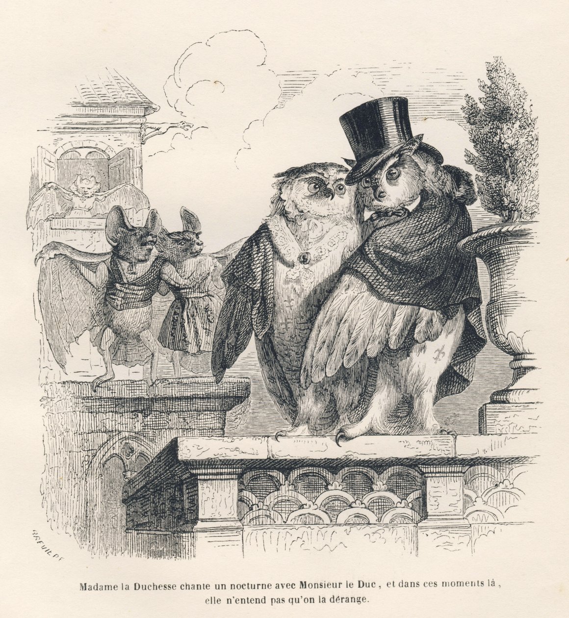 Fledermaus hört einer Eule und einem Uhu beim Singen zu. Vignetten illustriert von JJ Granville. Gravur signiert Breviere im Teil "Erinnerungen einer alten Krähe" geschrieben von PJ Stahl in "Szenen aus dem privaten und öffentlichen Leben der Tiere". Pa von Grandville
