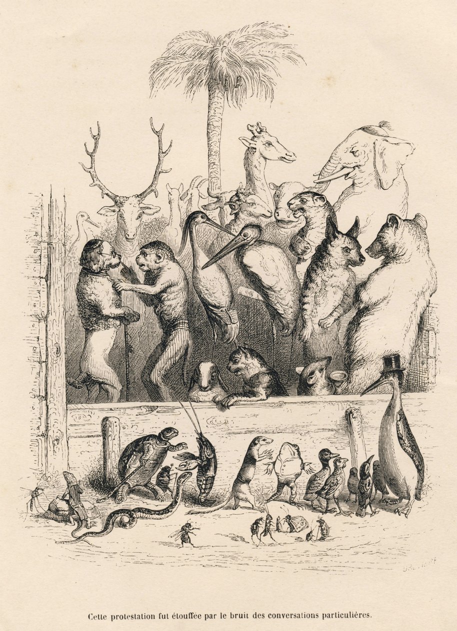 Gespräch zwischen Tieren. Vignetten illustriert von JJ Granville. Gravur signiert Breviere im Prolog "Resume parlementaire" geschrieben von PJ Stahl in "Scenes de la vie privee et publique des animaux". Paris, J. Hetzel et Paulin von Grandville