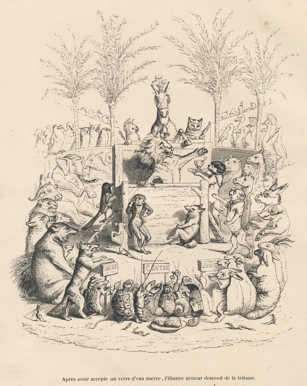 Politische Rede des Löwen auf einer Tribüne, umgeben von allen anderen Tieren. Vignetten illustriert von JJ Granville. Gravur signiert von Godard im Prolog "Parlamentarische Zusammenfassung" geschrieben von PJ Stahl in "Szenen aus dem privaten und öffentli von Grandville