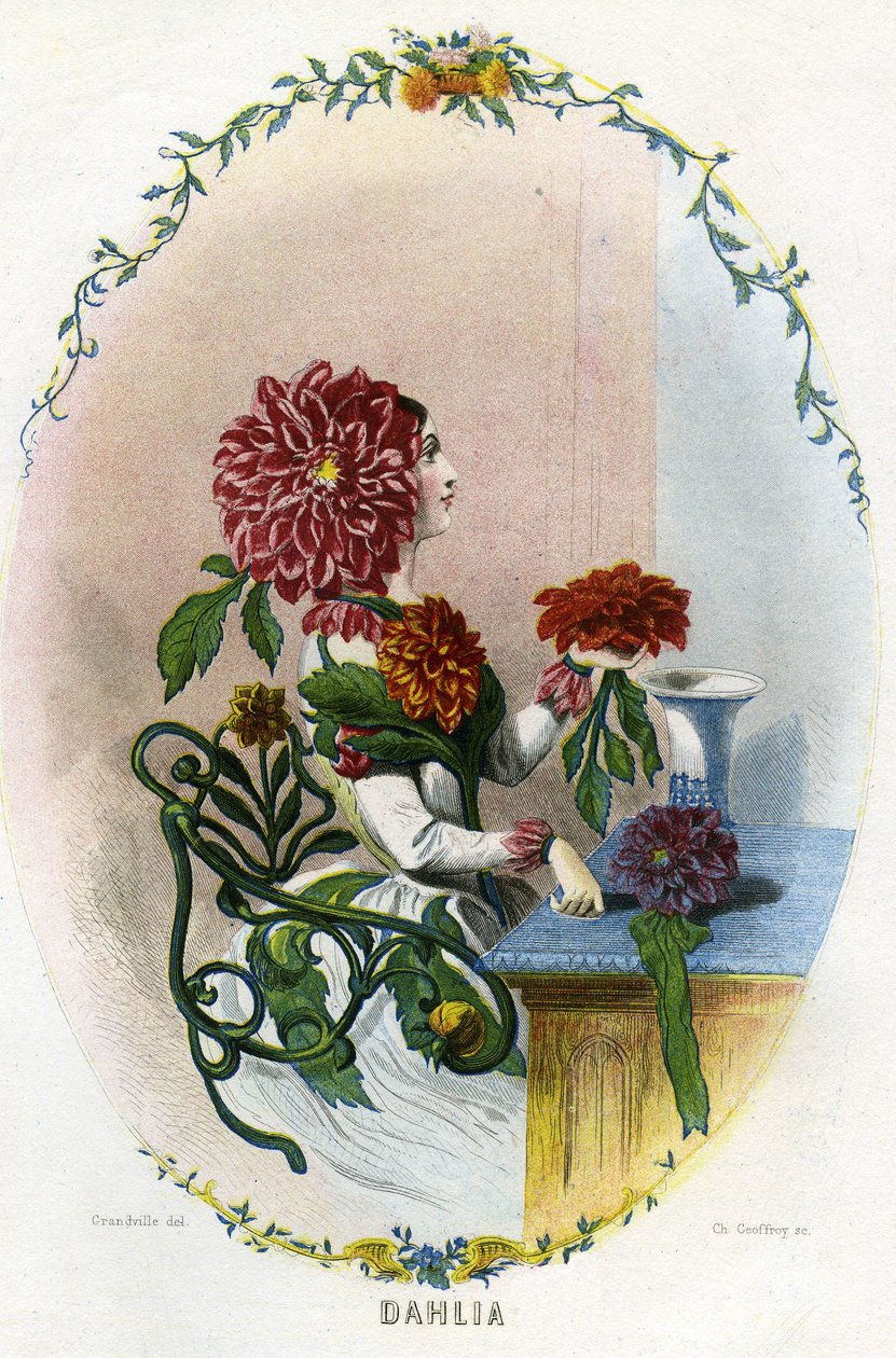 Illustration für 