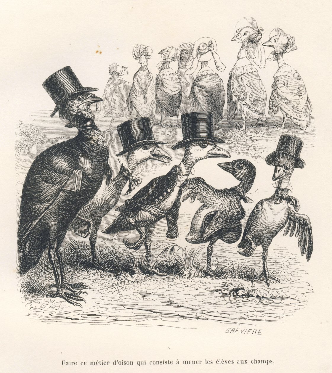 Beruf eines Gänsehirten, der die Schüler auf die Felder bringt. Die Gänse entfernen sich von ihrem Kind. Vignetten illustriert von JJ Granville. Gravur signiert von Breviere im Teil "Esel-Führer für Tiere, die zu Ehren kommen wollen" geschrieben von... von Grandville