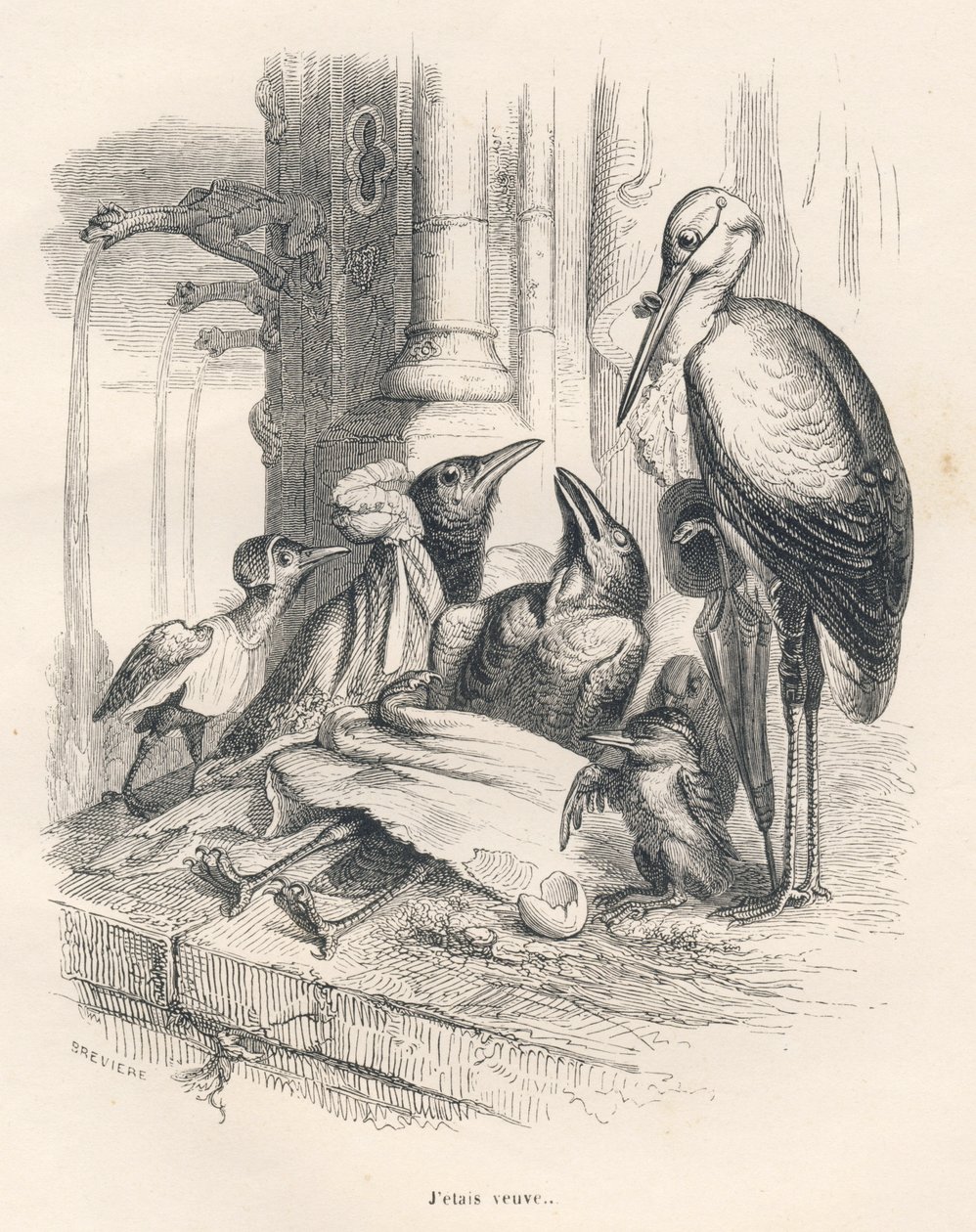 Tod eines Raben neben seiner Familie und einem Storch. Vignetten illustriert von JJ Granville. Gravur signiert Breviere im Teil "Erinnerungen einer alten Krähe" geschrieben von PJ Stahl in "Szenen aus dem privaten und öffentlichen Leben der Tiere". Paris,  von Grandville