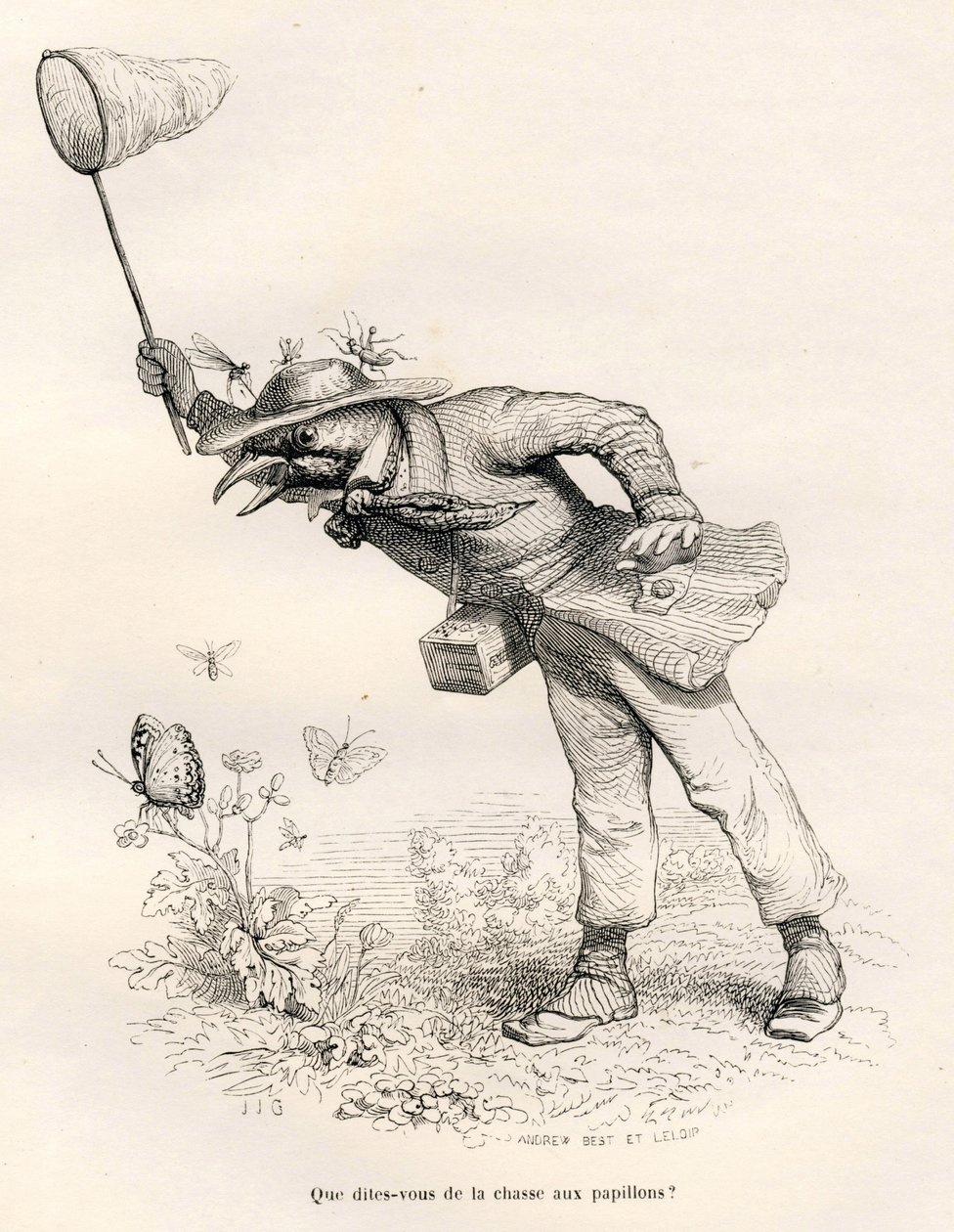 Vogel jagt Schmetterlinge. Vignetten illustriert von JJ Granville. Gravur signiert Andrew, Best und Leloir in dem Teil "Ein Fuchs in der Falle" geschrieben von Charles Nodier in "Szenen aus dem privaten und öffentlichen Leben der Tiere". Paris, J. Hetzel von Grandville