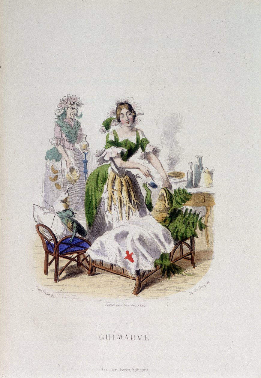 Personifikation der Heilpflanze Eibisch, die einen Frosch behandelt - in „Animierte Blumen“ von Grandville von Grandville
