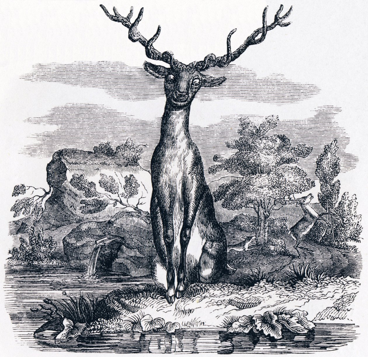 Der Hirsch, der sich im Wasser betrachtet - Fabeln von La Fontaine von Grandville