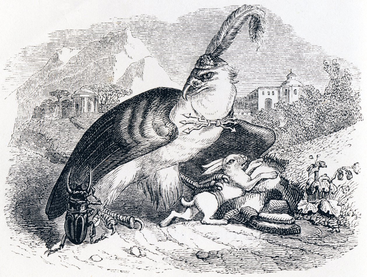 Der Adler und die Schnecke - Fabeln von La Fontaine von Grandville