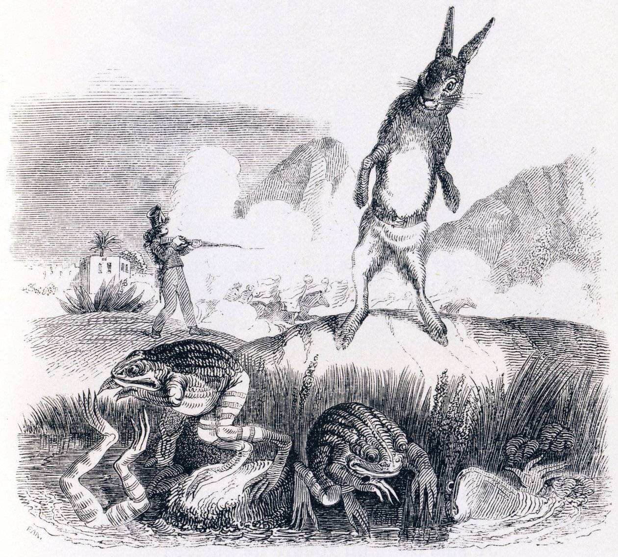 Der Hase und die Frösche von Grandville
