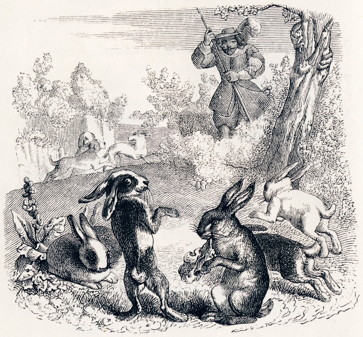 Die Kaninchen - Fabeln von La Fontaine von Grandville