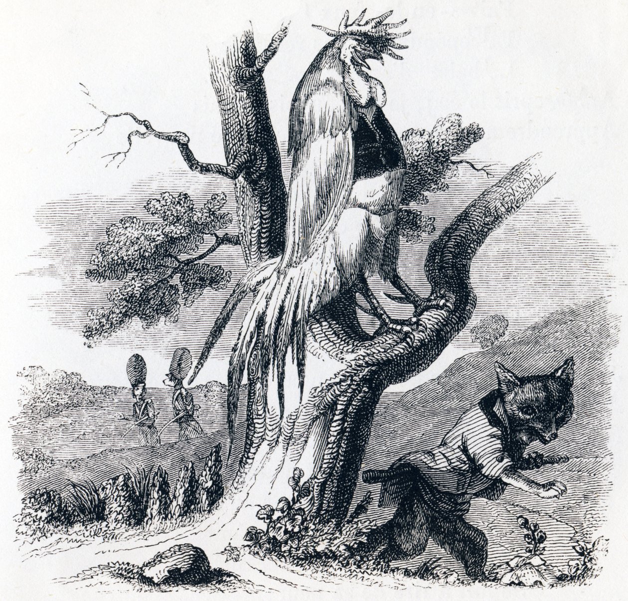 Der Hahn und der Fuchs - Fabeln von La Fontaine von Grandville