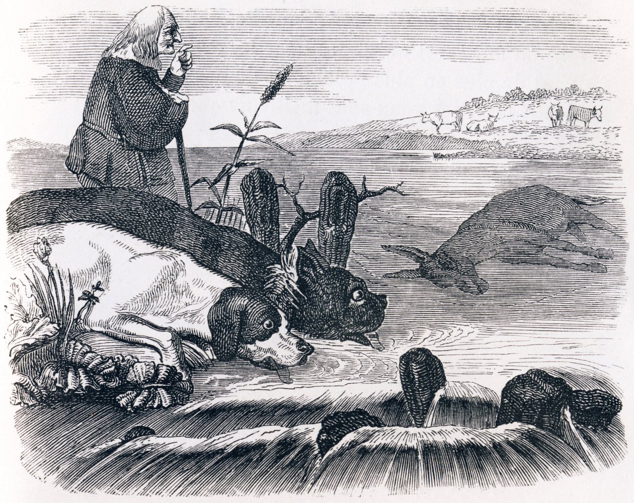 Die zwei Hunde und der tote Esel - Fabeln von La Fontaine von Grandville