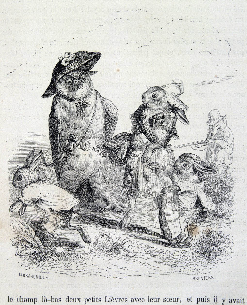 Die zwei kleinen Hasen, ihre Schwester und die Eule - von Grandville von Grandville