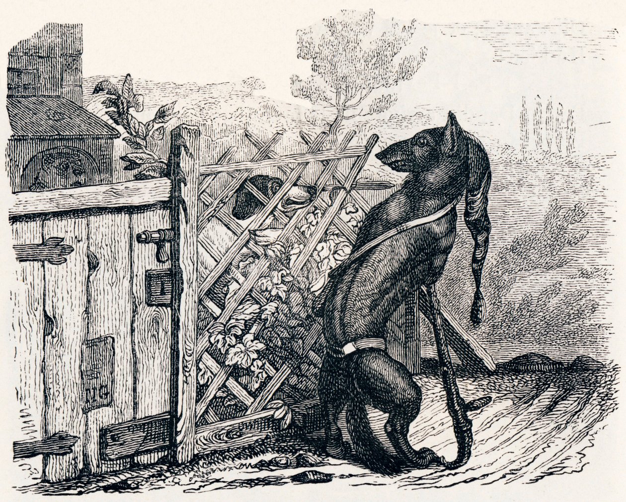 Der Wolf und der magere Hund - Fabeln von La Fontaine von Grandville